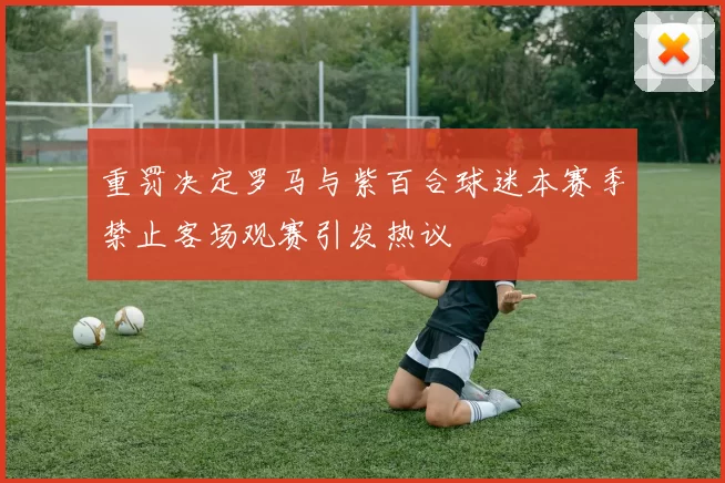 重罚决定罗马与紫百合球迷本赛季禁止客场观赛引发热议