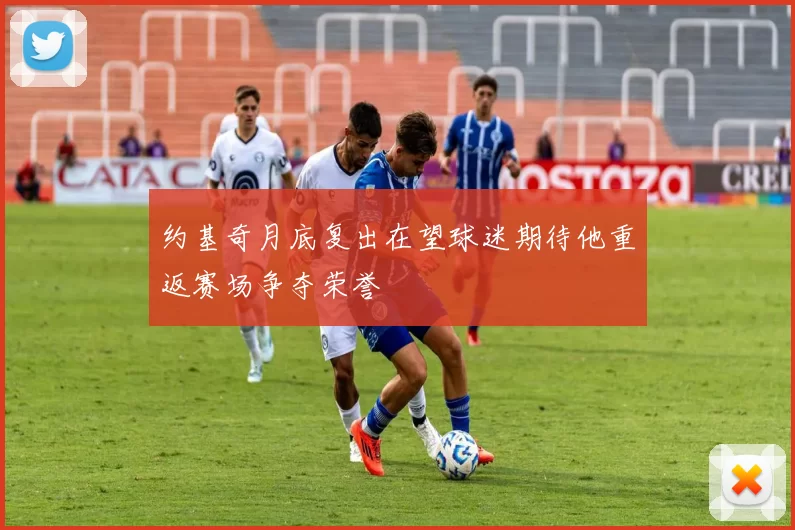 约基奇月底复出在望球迷期待他重返赛场争夺荣誉
